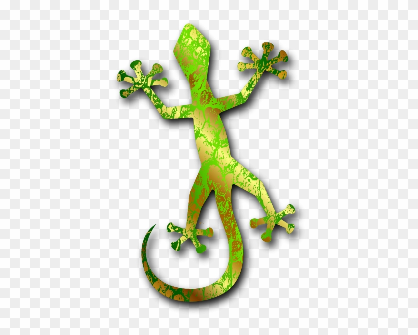 Gecko 3 Png Images - Gecko #1263922