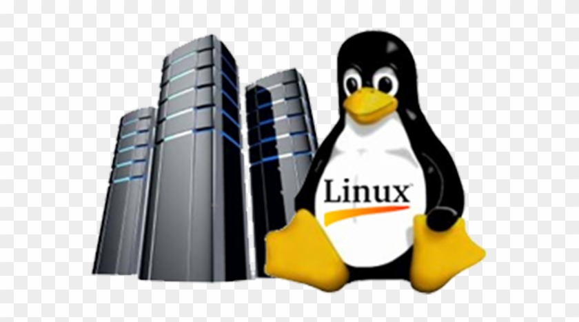Linux Hosting Clipart Hosting Png - Linux Penguin #1263946
