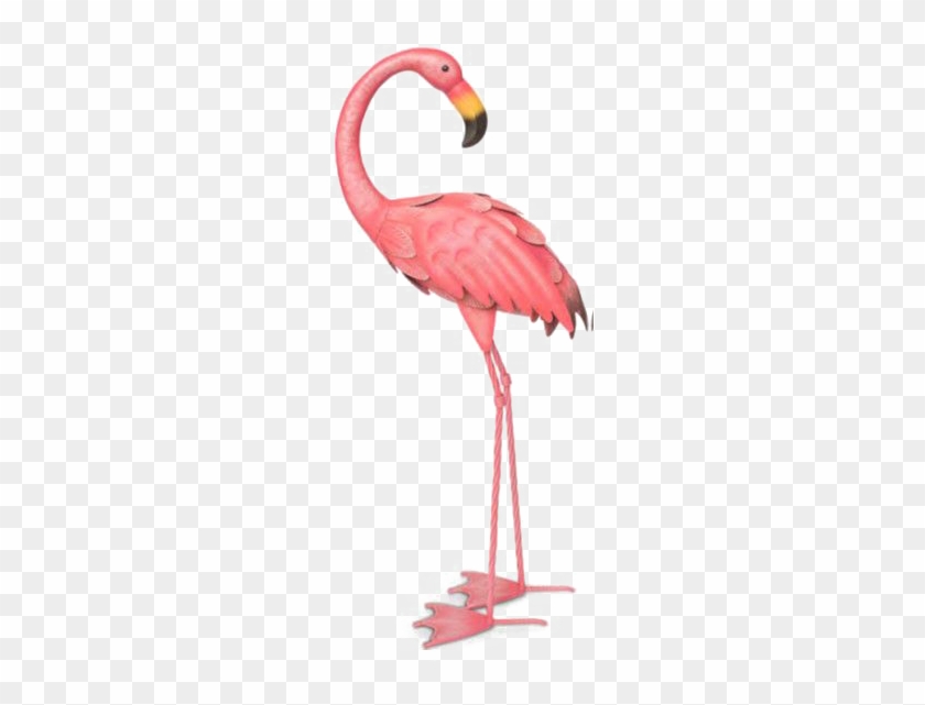Flamingos Bird Illustration - Flamingo Png #1263964