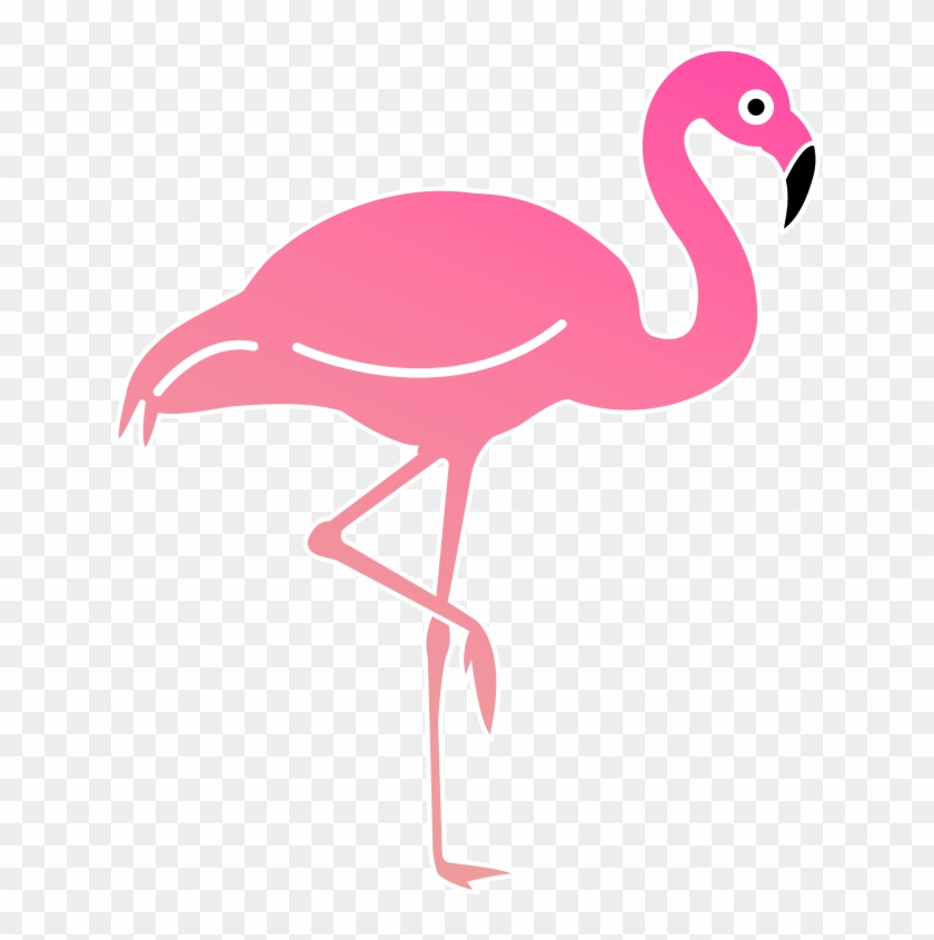 Greater Flamingo #1263966