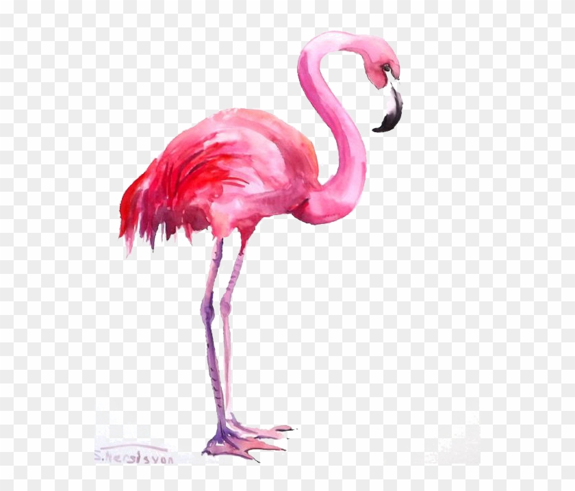 Flamingo Watercolor Painting - Flamingo Watercolor #1263972