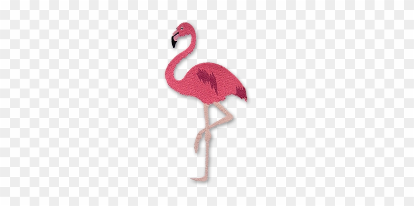 Flamingo - Greater Flamingo #1263974