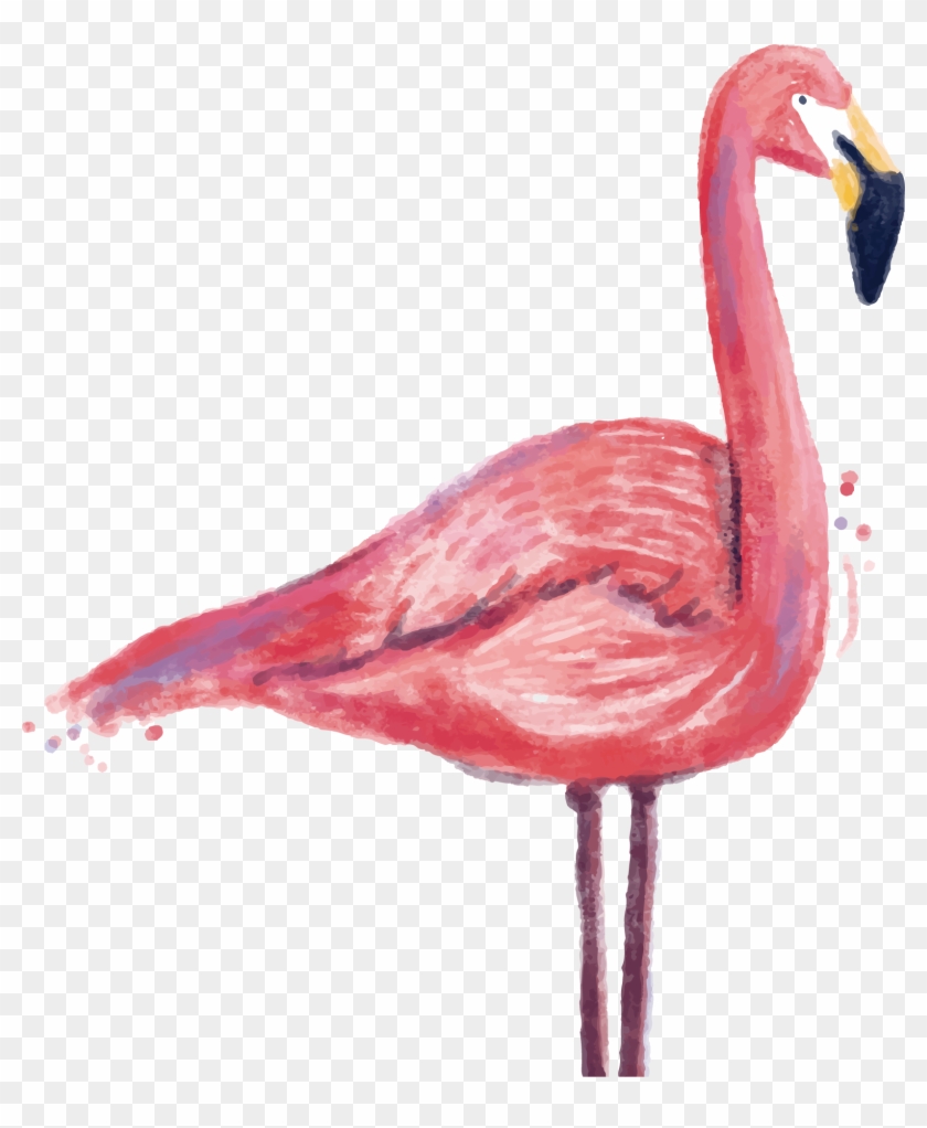 Flamingo Printmaking Printing - Quotes Flamingo #1263977