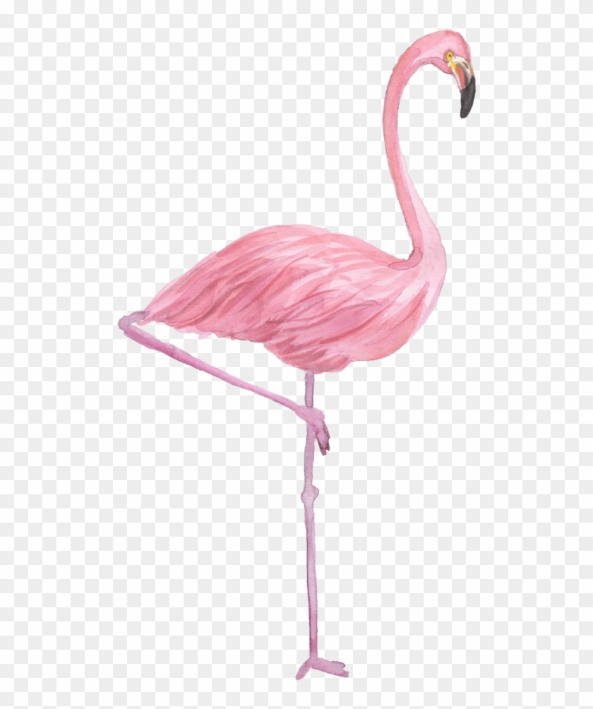 Personalized/monogrammed - Flamingo #1263979