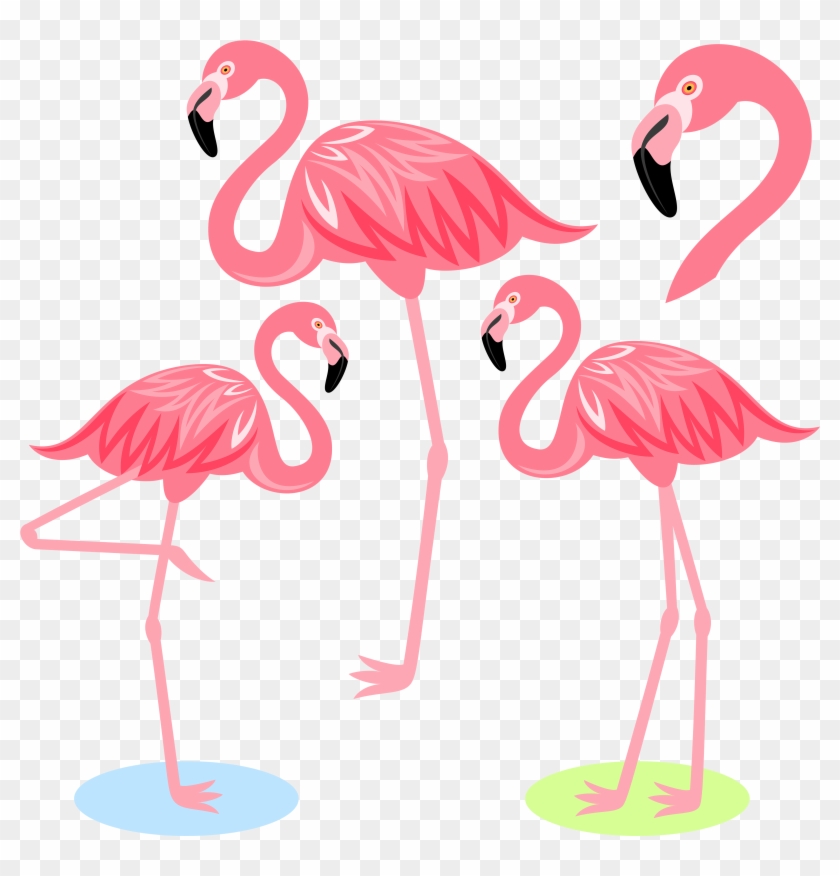 Flamingo Bird Illustration - Flamingo Bird Illustration #1263985
