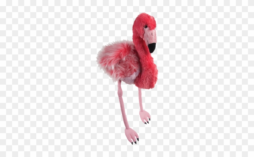 Meet This Year's Mascot, “fiona” The Pink Flamingo - Greater Flamingo #1263996