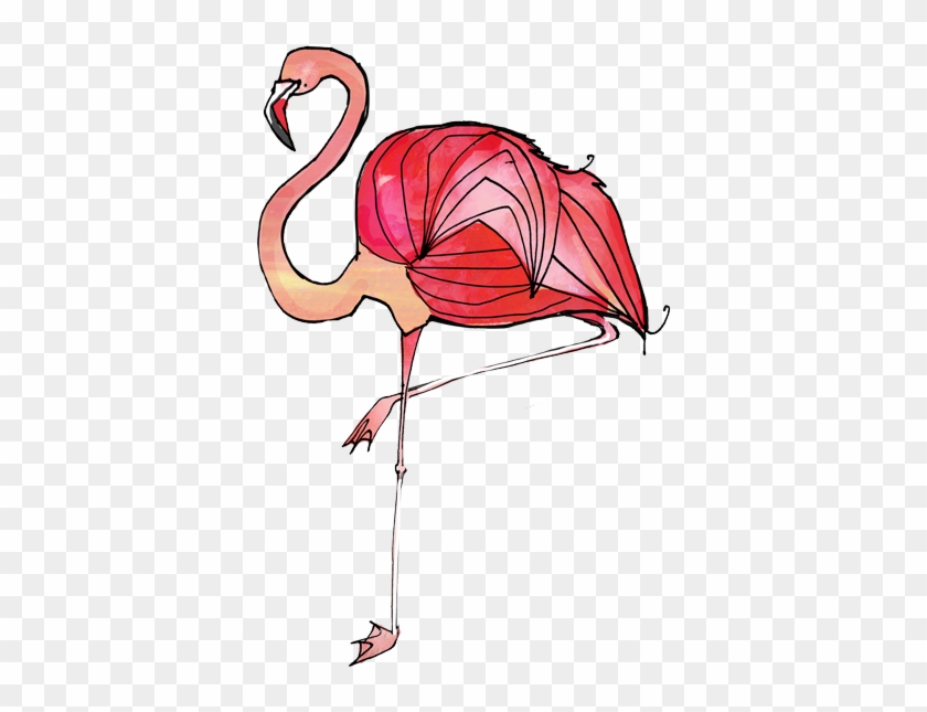 Get In Touch - Greater Flamingo #1264001