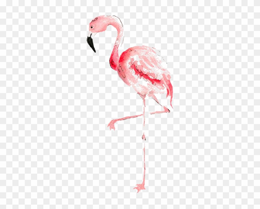 Flamingo Watercolor Painting Drawing - Flamingo Watercolour #1264008