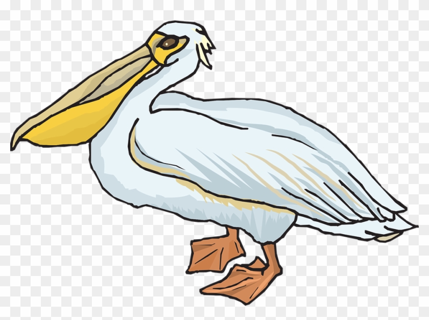 Sea Bird Clipart Transparent - Pelican Clipart #1264202