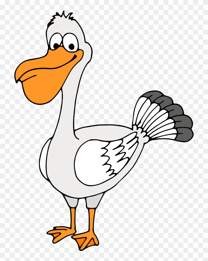 Duck Goose Bird Common Ostrich Chicken - Bird #1264221