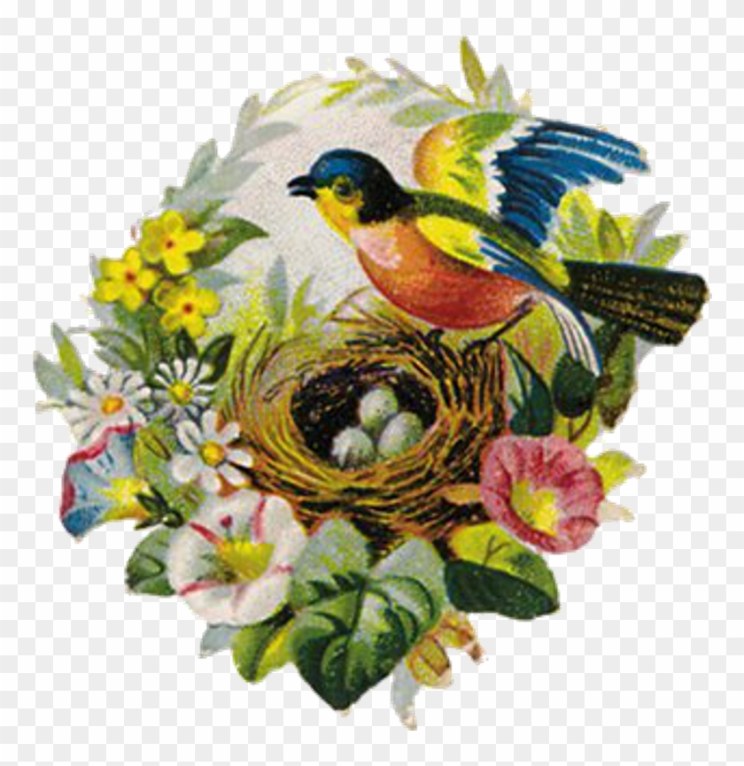 10 Vintage Bird/nest Images - Vintage Bird With Flowers And Nest Pendant Glass Pendant #1264369