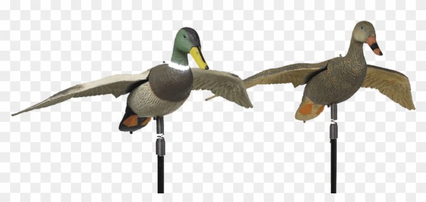 Life Size With A Spring Type Attachment For Wind Action - Mallard #1264397
