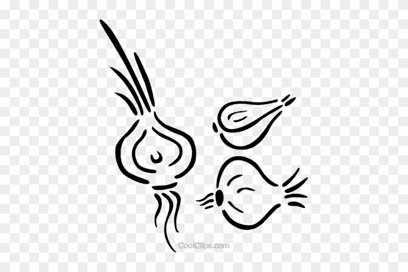 Onions Royalty Free Vector Clip Art Illustration - Illustration #1264417