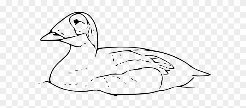 Swimming Duck Outline #1264477