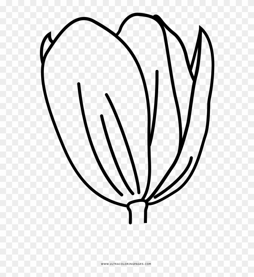 2018 Tulip Coloring Page With Ultra Pages And - Coloring Book #1264685