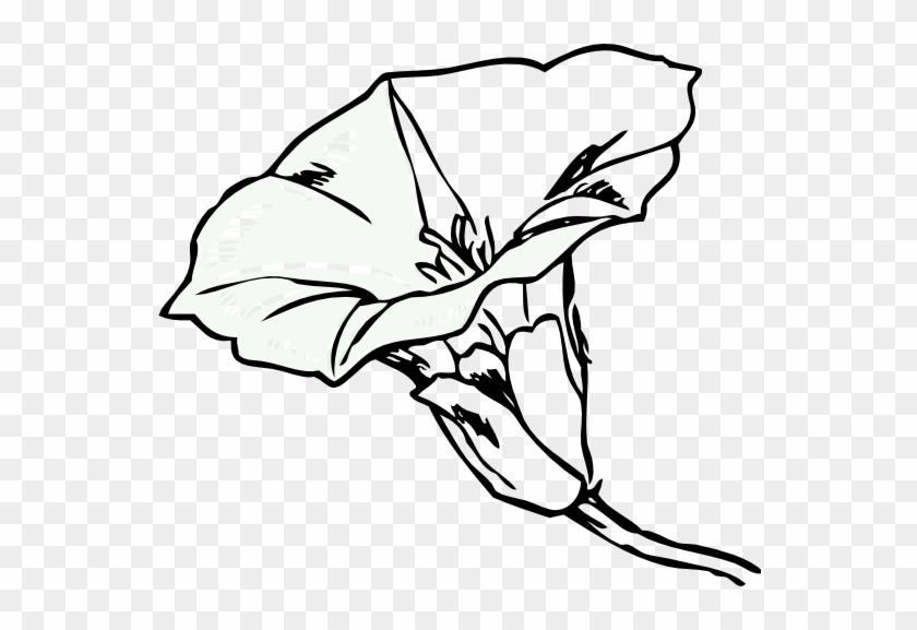 Flower Field Bindweed Clip Art - Flower Coloring Pages #1264702