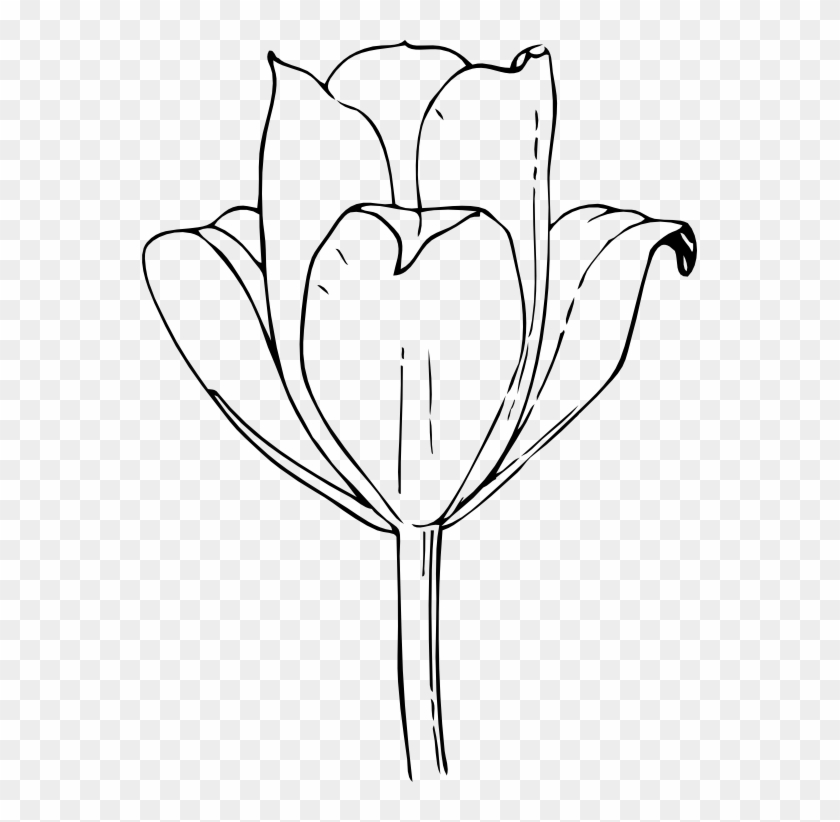 Black White Flower Tattoo - Tulip Flower Clipart - Free Transparent PNG  Clipart Images Download