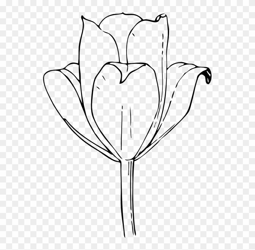 Black White Flower Tattoo - Tulip Flower Clipart #1264744