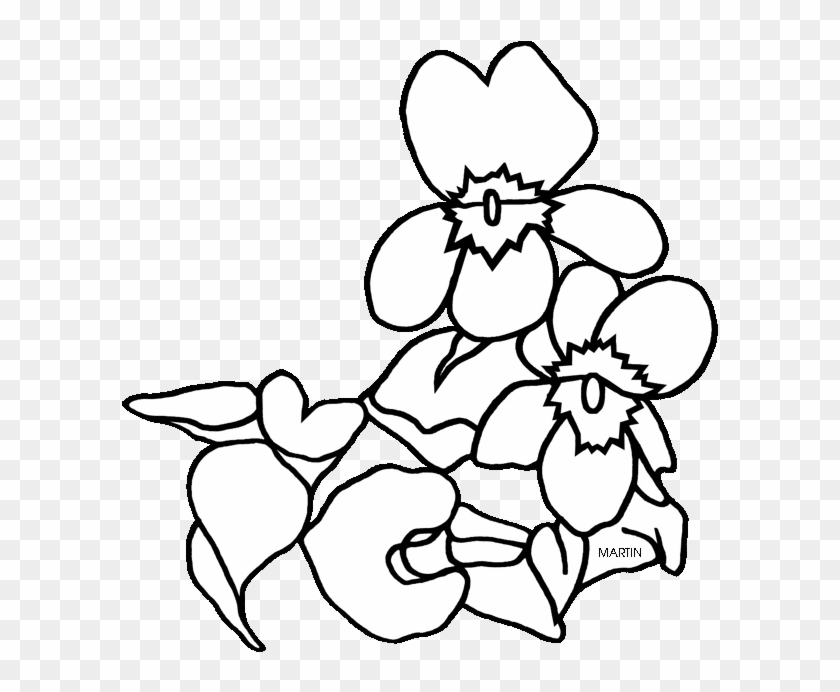 619 X 648 - New Jersey State Flower Coloring Page #1264747