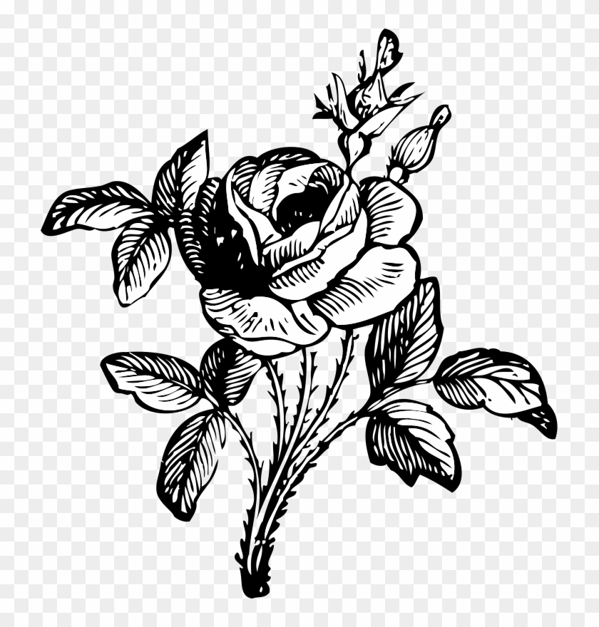 Tribal Tattoo With Rose Clip Art Download - Black And White Flower Png #1264752