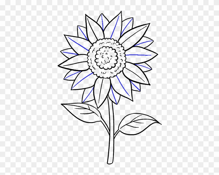 Hand Drawn Sunflower Sketch Line Art 10863944 PNG