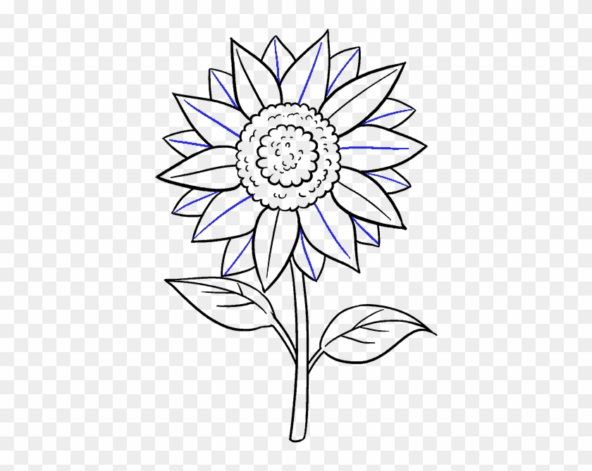 How To Draw Sunflower - Sunflower Drawing #1264754