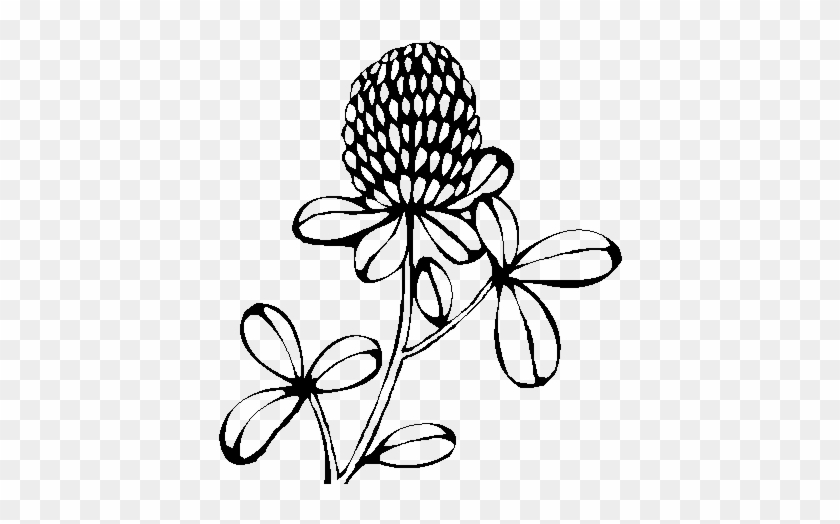 Flores Silvestres Para Dibujar - Free Transparent PNG Clipart Images  Download