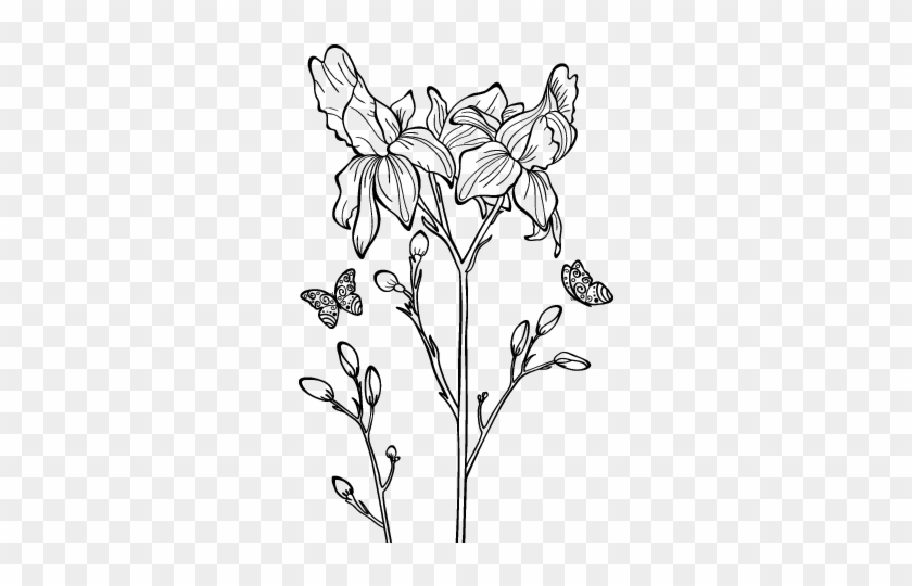 Iris Flower Coloring Page - Coloring Book #1264768
