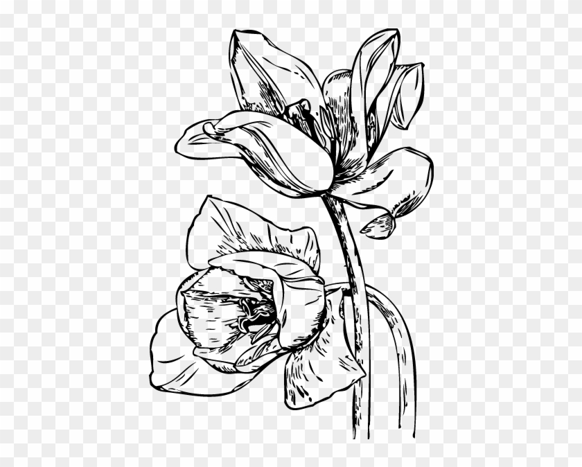 Botanicals - E-doodles - Line Art #1264778