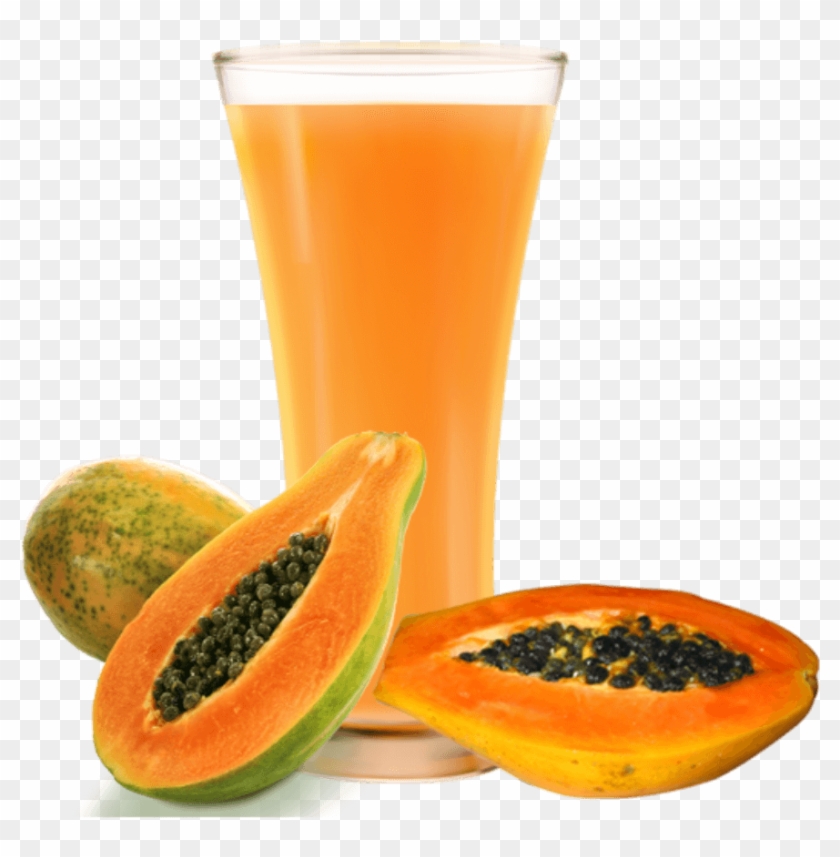 Boppai Juice - Hirt's Gardens Tainung Papaya Tree - Carica Papaya #1264815