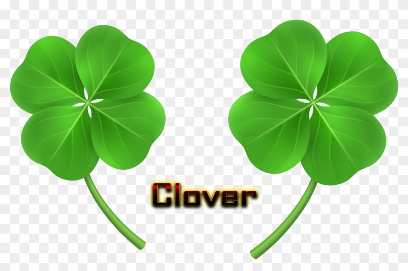 Clover Png Hd - Clover #1264877
