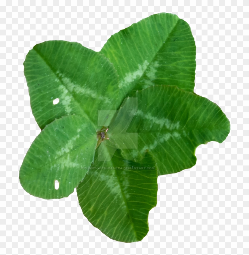 Ultra Lucky Clover Png By Bunny With Camera - Clover #1264970