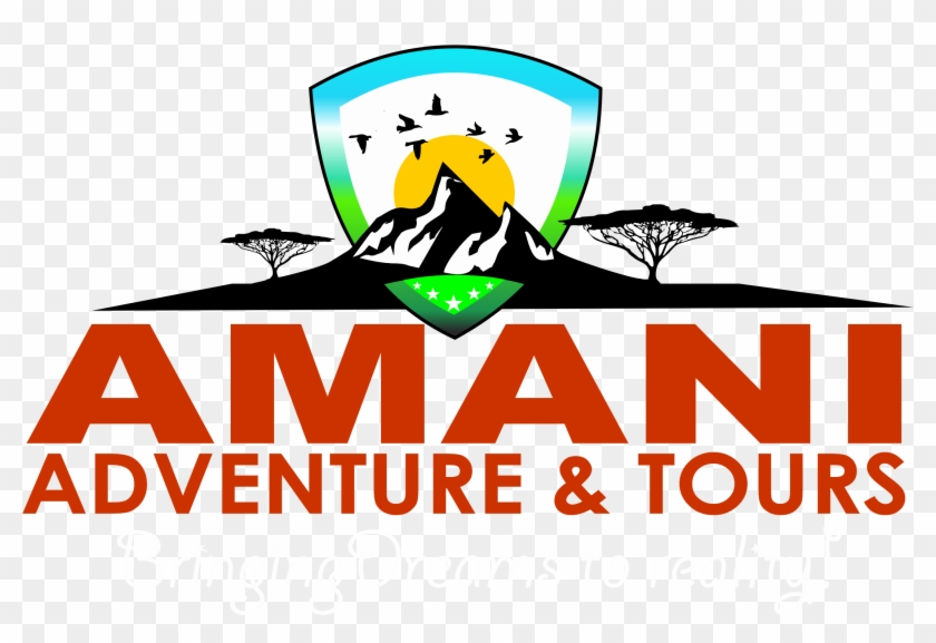 What Can We Do For You - What Can We Do For You #1265082