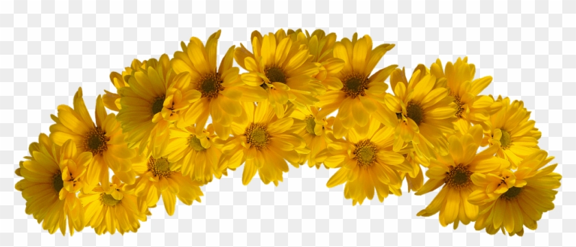 Flower Crown Transparent Background - Yellow Flower Crown Transparent #1265119