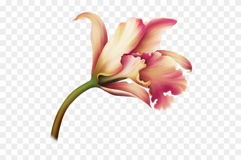 0 155a46 A613adf7 L - Clip Art #1265200