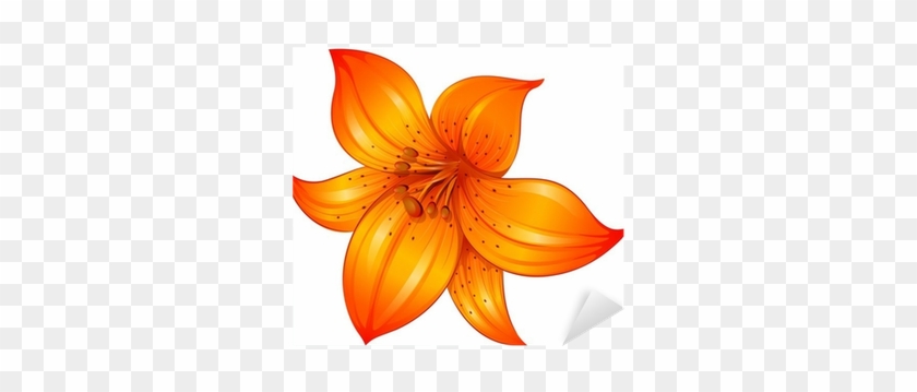 Lily Flower Vector #1265203