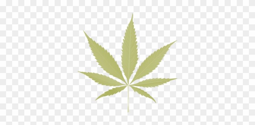 Marijuana - Cannabis Leaf #1265223