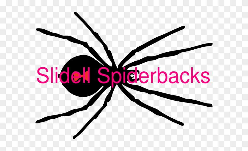 Black Widow Spider Red Spot #1265332