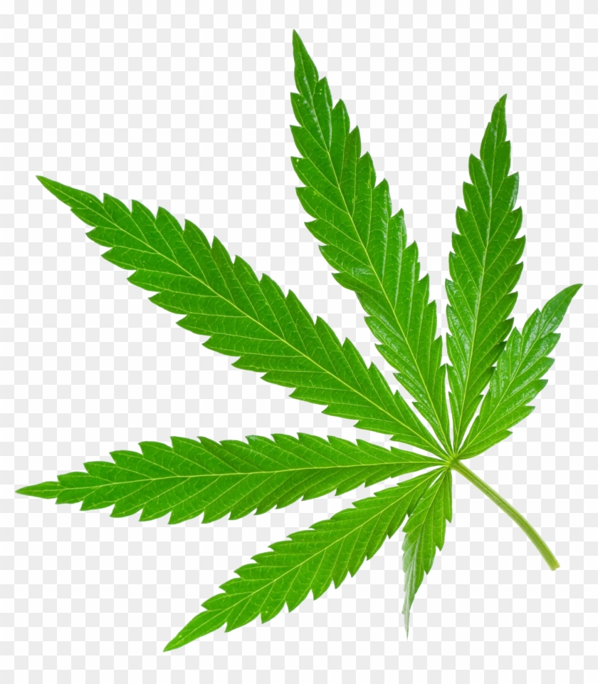 Best Free Cannabis Icon Clipart - Cannabis Png #1265337