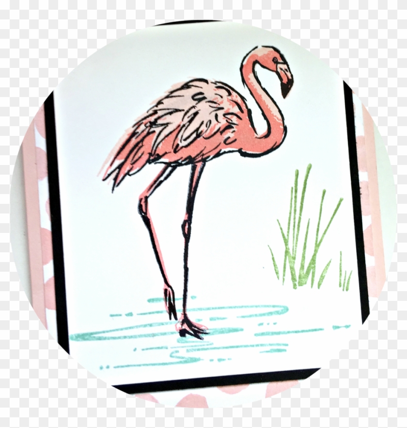 Fabulous Flamingo Stampin Up - Stampin Upfabulous Flamingo #1265588