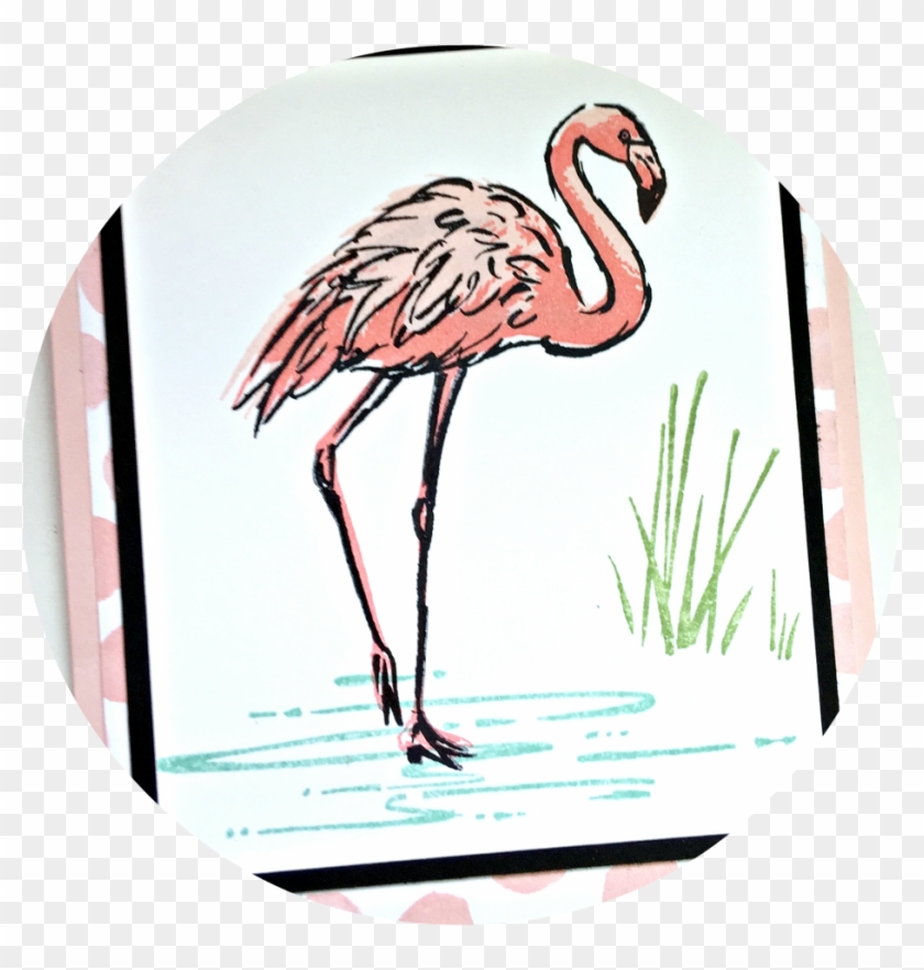 Fabulous Flamingo Stampin Up - Stampin Upfabulous Flamingo #1265588