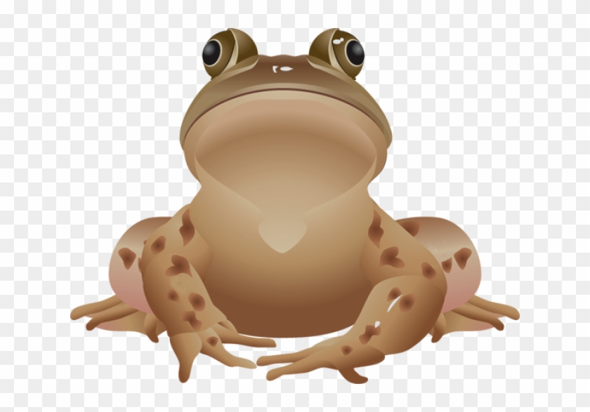 Brown Frog Clipart - Brown Frog Clipart #1265623