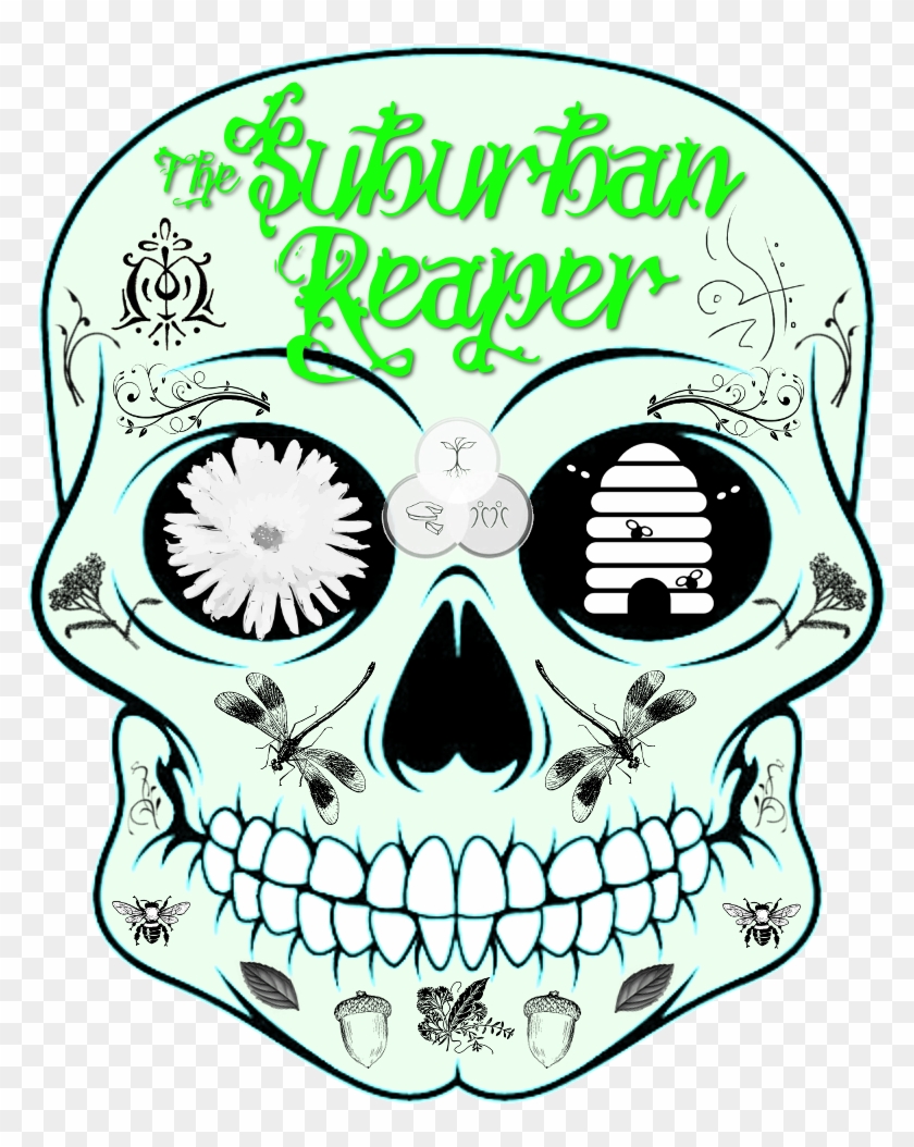 What Do You Think About My New Logo It Was A Collaboration - Skull #1265670