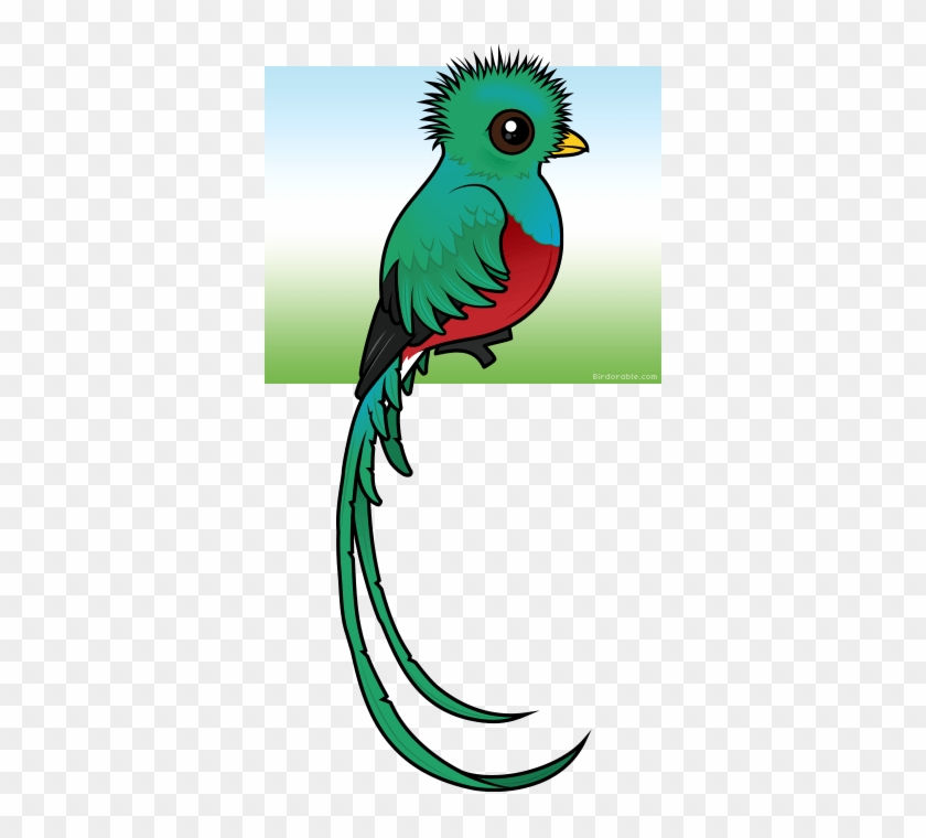 Cute Resplendent Quetzal By Birdorable < Meet The Birds - Quetzal Animado #1266047