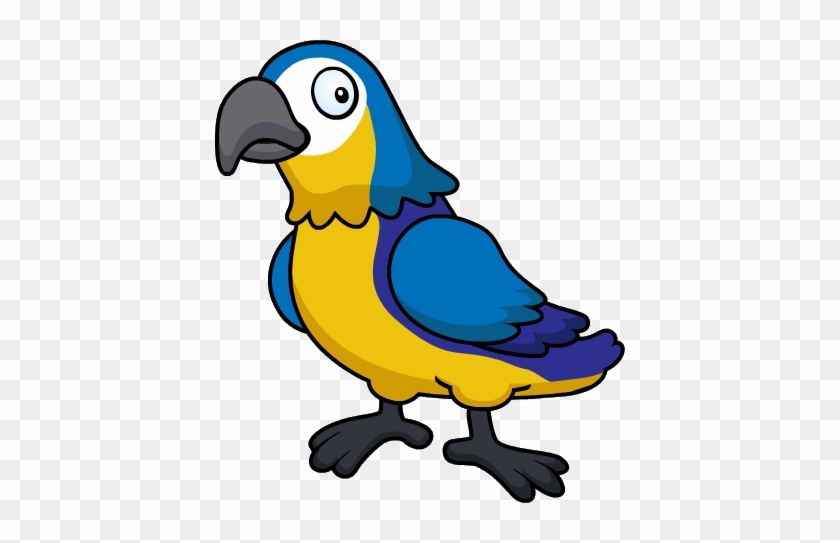 0/20 - Lovebird #1266054