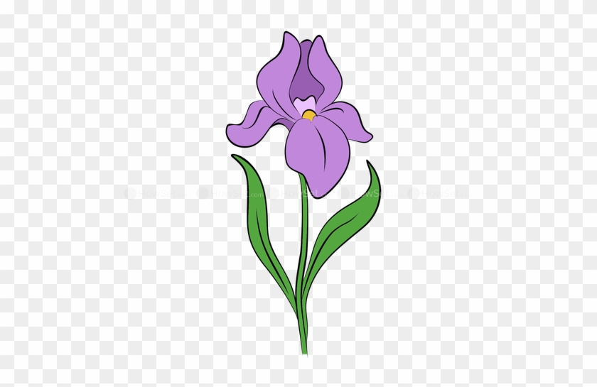 Step 1 - - Draw An Iris Flower #1266315