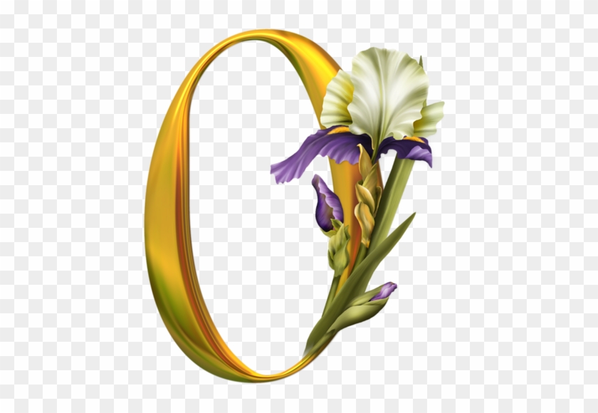 Iris Alphabet - Alphabet #1266332