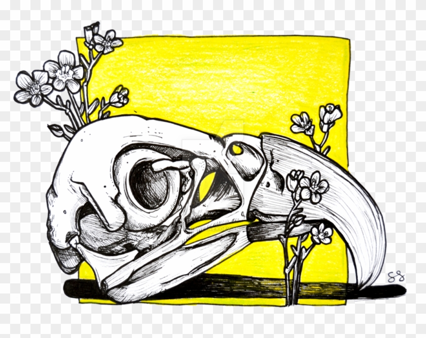 Bird Skull By Sarahannsweeney - Art #1266387