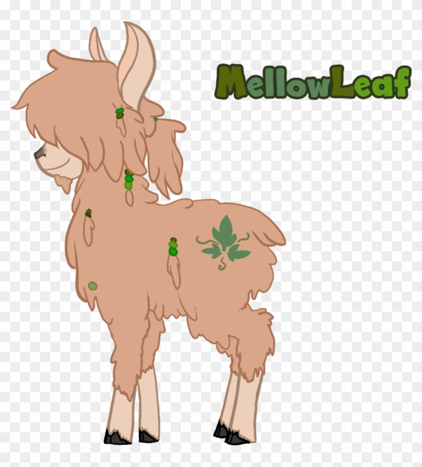Mellow Leaf Pony Cattle Sheep Donkey Alpaca Camel Mammal - Alpaca Mlp #1266492