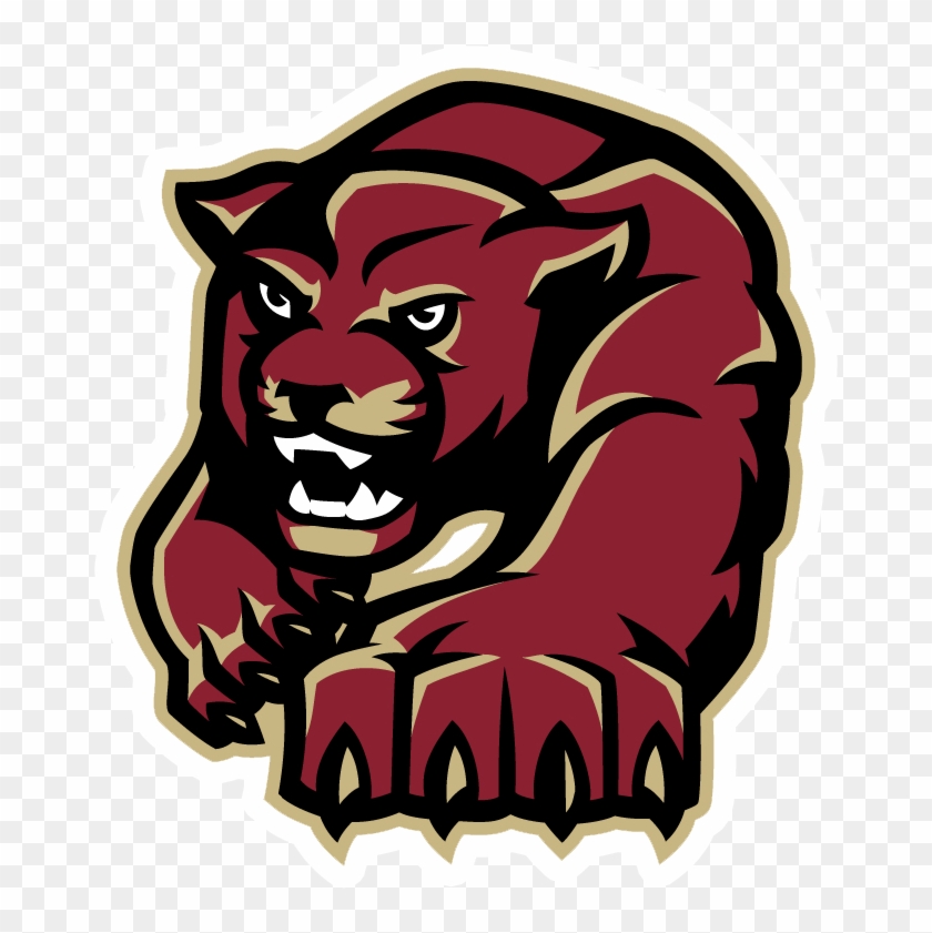 Paint Branch Panthers - Paint Branch High School Mascot #1266791